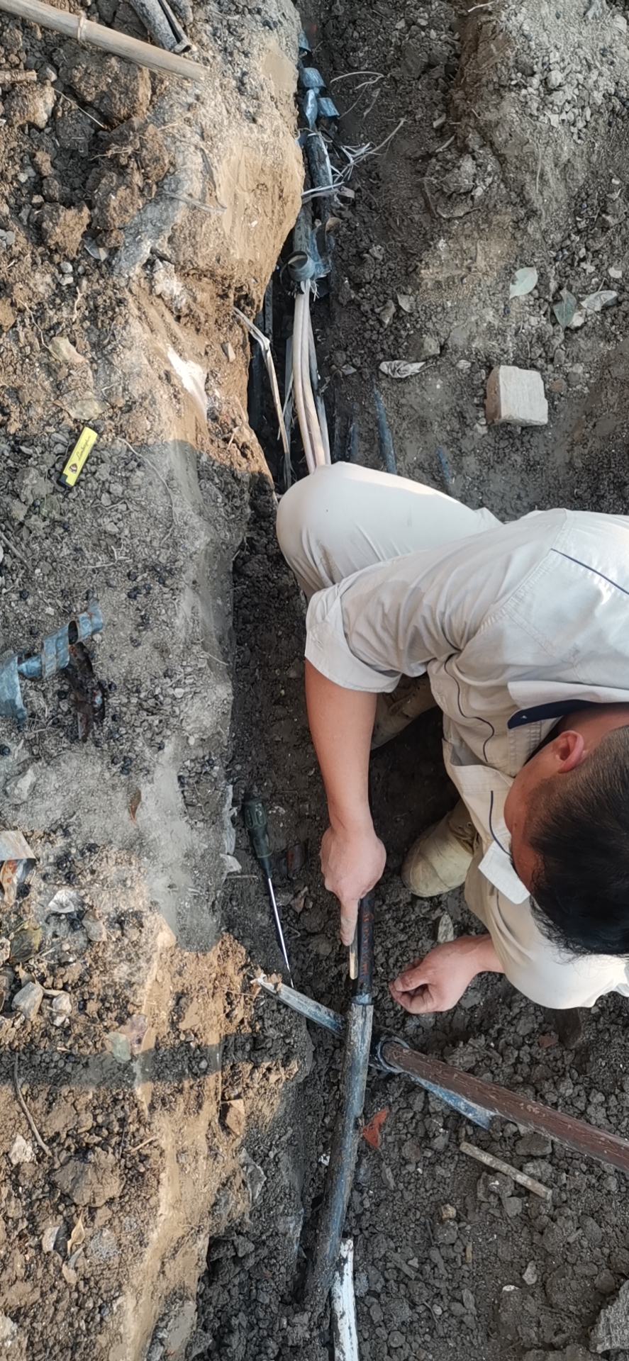 1647496935178606.png 1647496935178606.png