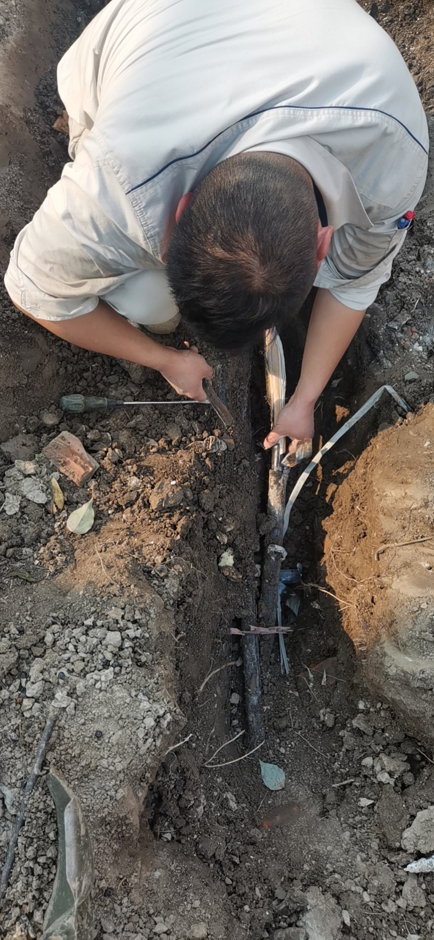 1647496956182913.png 1647496956182913.png